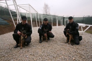 SIPA nabavila tri belgijska ovčara koje će obučavati za  službene pse