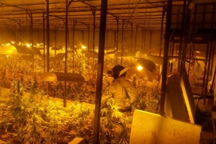 Наставак међународне полицијске акције кодног назива „Дамар“