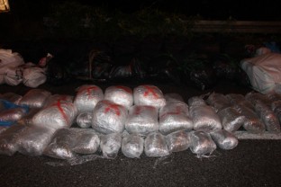 Operativna akcija „24“: SIPA privremeno oduzela oko 900 kilograma opojne droge