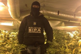 SIPA lišila slobode jednu osobu zbog neovlaštenog prometa opojnim drogama