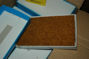 Smuggled Excise Goods Discovered