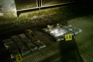 Eight Individuals Apprehended in Herzegovina, 30 Kilos of „Skunk“ Seized