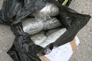 Na području Trebinja zaplijenjeno oko 30 kilograma opojne droge skunk