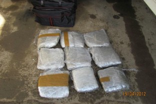 Six Persons Apprehended in Orašje, 10 kg of “Skunk” Seized
