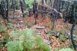 Tešanj: 652 Recoilless Gun Grenades Found